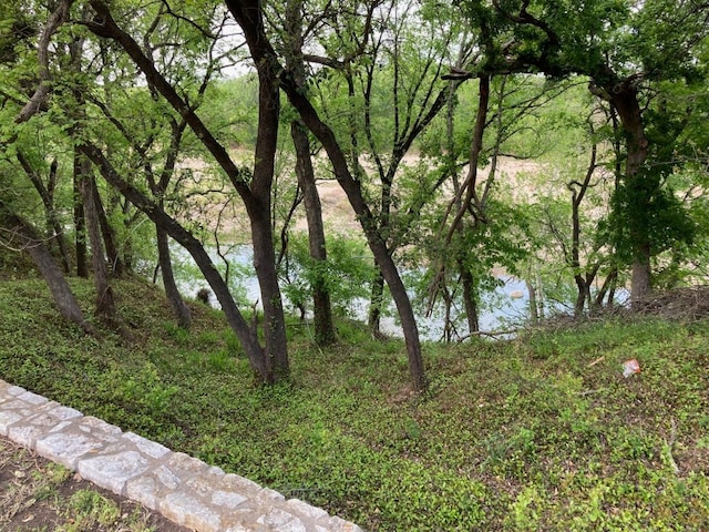 view of landscape featuring a water view