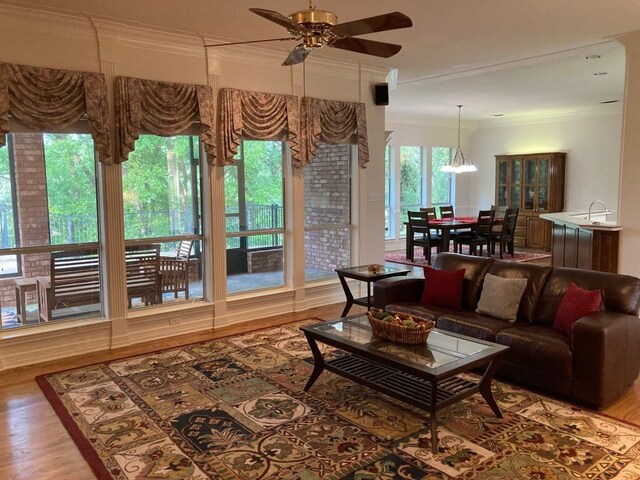 living room featuring crown molding, wood-type flooring, and ceiling fan with notable chandelier