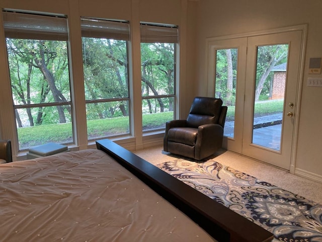 bedroom featuring access to exterior