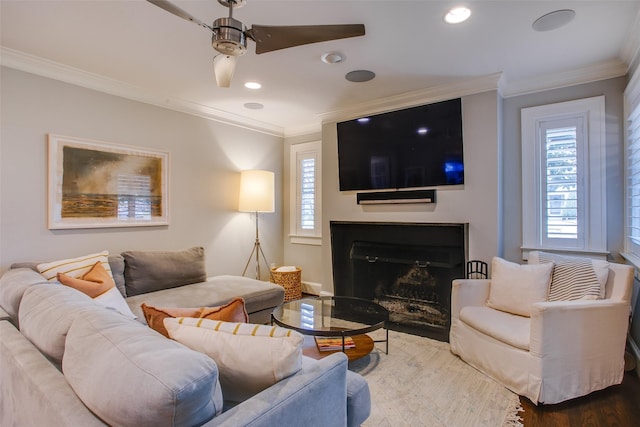 living room featuring ceiling fan, ornamental molding, and hardwood / wood-style floors