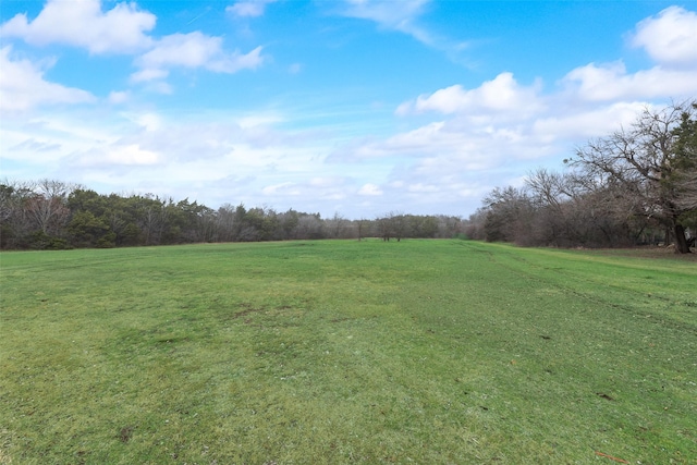 view of yard with a rural view