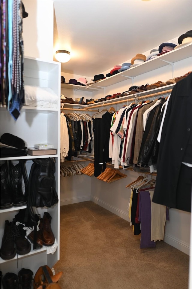 walk in closet featuring carpet floors