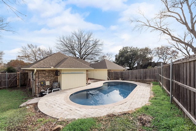 view of pool featuring a patio area