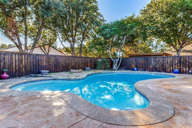 view of swimming pool with a patio