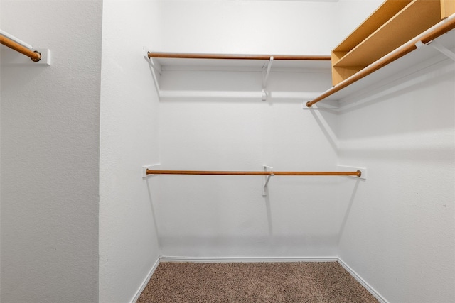 walk in closet with carpet floors