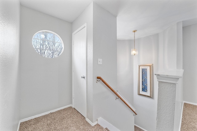 stairs featuring carpet floors