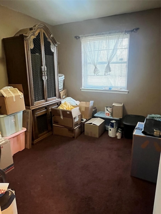 miscellaneous room featuring dark colored carpet