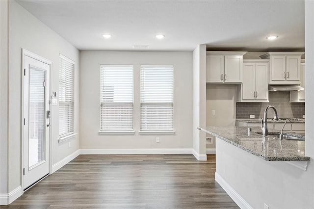 kitchen featuring sink, white cabinets, decorative backsplash, light stone counters, and dark wood-type flooring