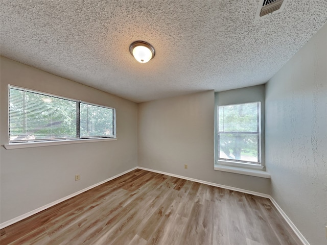 spare room featuring a healthy amount of sunlight, a textured ceiling, and light wood-type flooring