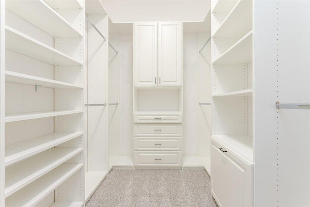 walk in closet with light carpet