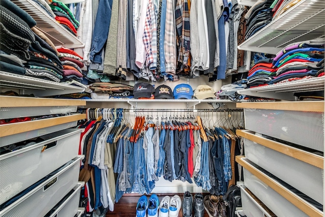 view of spacious closet