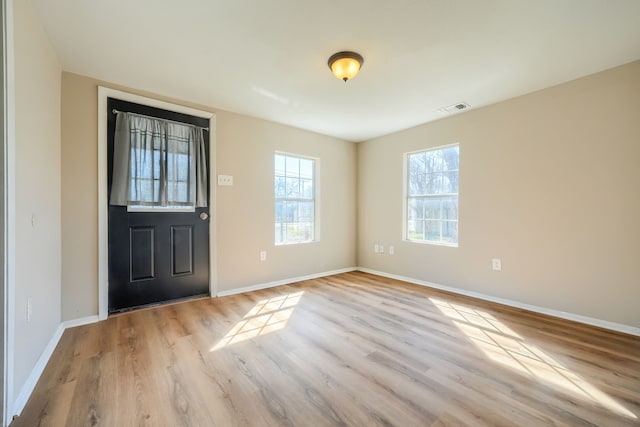 entryway featuring light wood-type flooring and a wealth of natural light