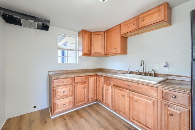 kitchen with light hardwood / wood-style floors and sink