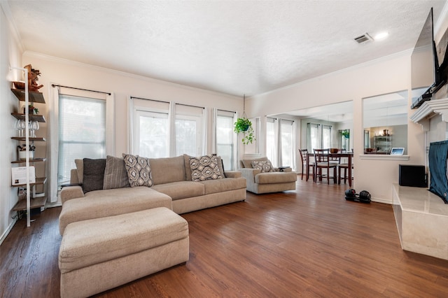 living room with a fireplace, dark hardwood / wood-style flooring, a textured ceiling, and a wealth of natural light