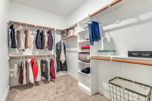 walk in closet featuring light carpet