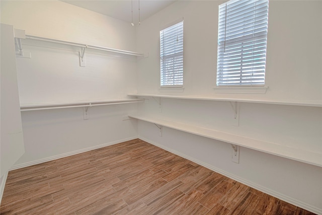 spacious closet featuring light wood-type flooring