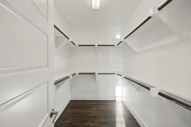 spacious closet with dark hardwood / wood-style floors