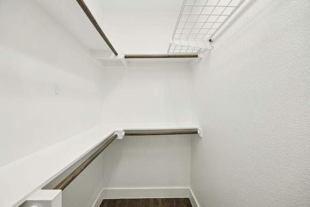 spacious closet featuring dark wood-type flooring