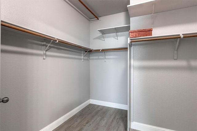 4201 Broken Bend Blvd, Fort Worth, TX 76244 - walk in closet with wood finished floors