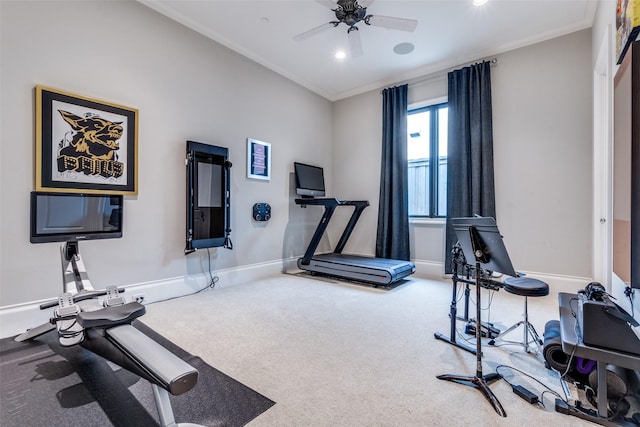 workout room with crown molding, ceiling fan, and carpet flooring