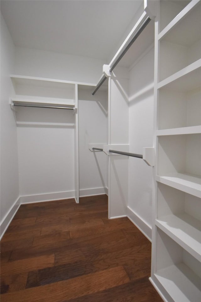 walk in closet with dark hardwood / wood-style floors