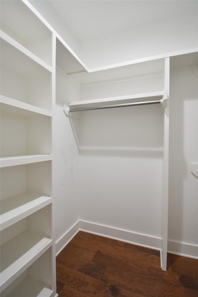 spacious closet with dark wood-type flooring