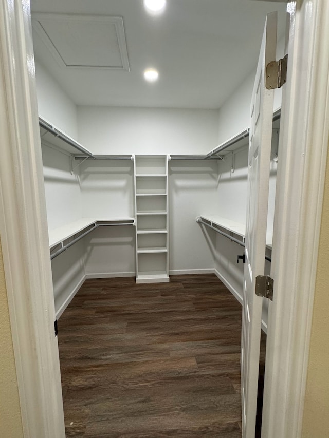 walk in closet with dark hardwood / wood-style floors