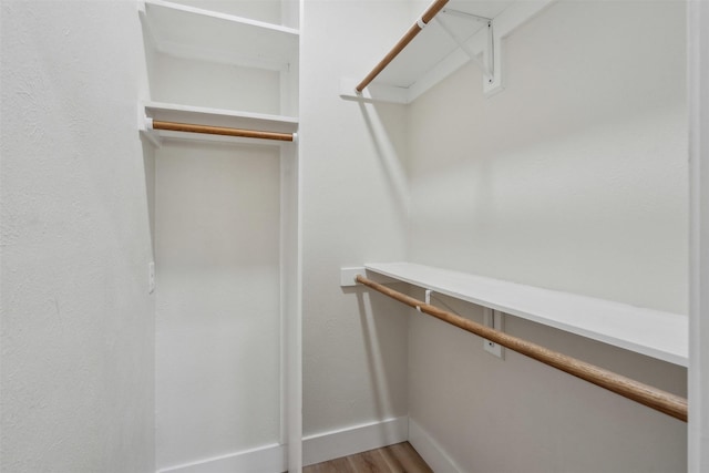 spacious closet featuring wood-type flooring