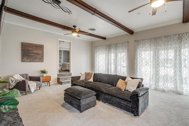 living room with ceiling fan, carpet, and beam ceiling