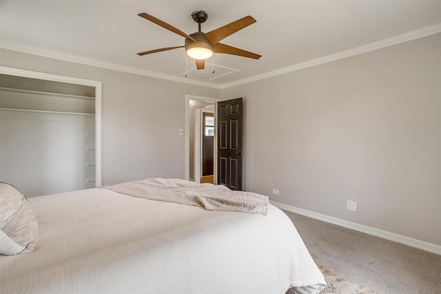 carpeted bedroom with crown molding, ceiling fan, and a closet