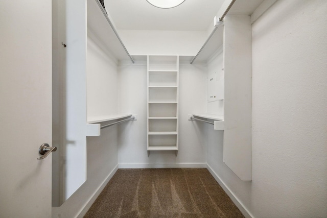 spacious closet with dark carpet