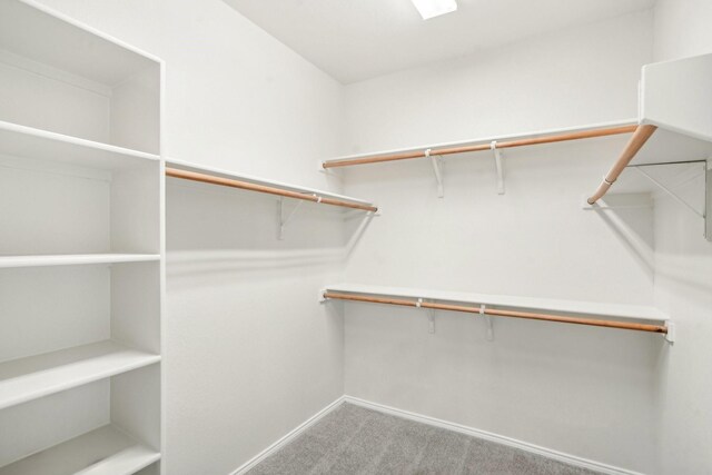 spacious closet featuring carpet flooring