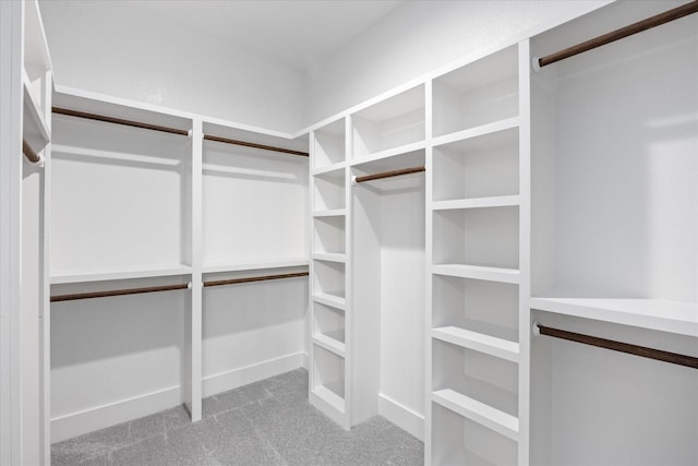 walk in closet featuring carpet flooring