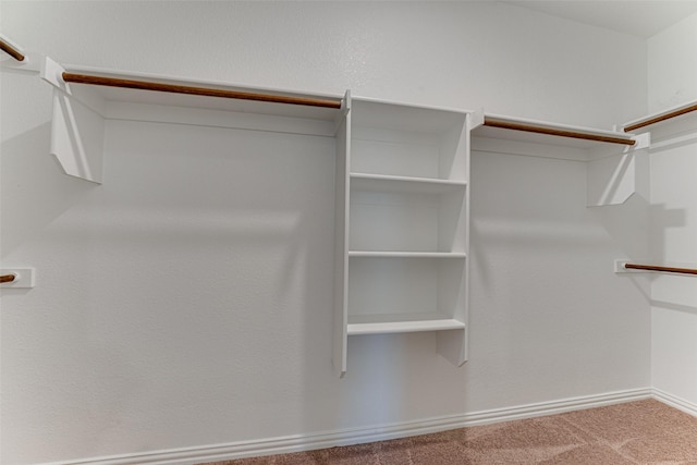 spacious closet featuring carpet floors