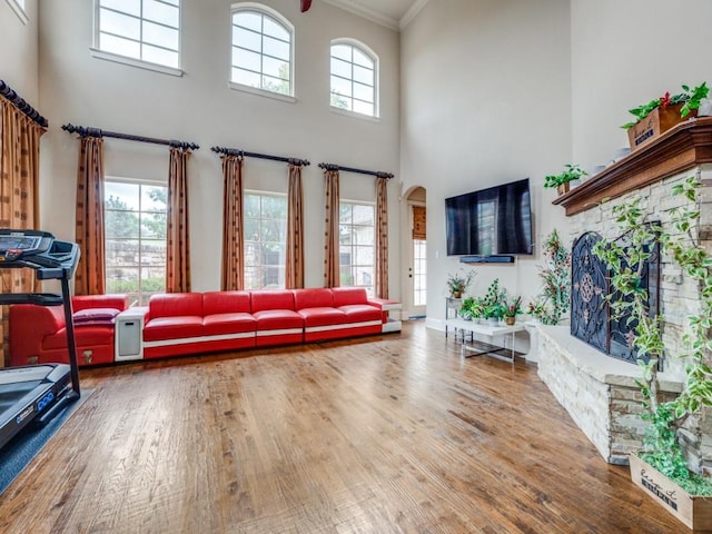 living room featuring wood-type flooring, ornamental molding, and a high ceiling