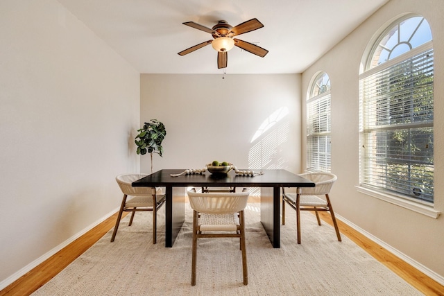 office area featuring ceiling fan and light hardwood / wood-style flooring