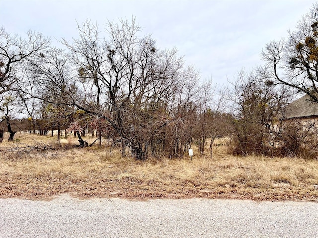 Listing photo 2 for LOT28 Jennifer Ln, Brownwood TX 76801