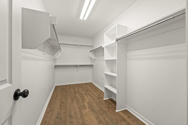 spacious closet with dark hardwood / wood-style flooring