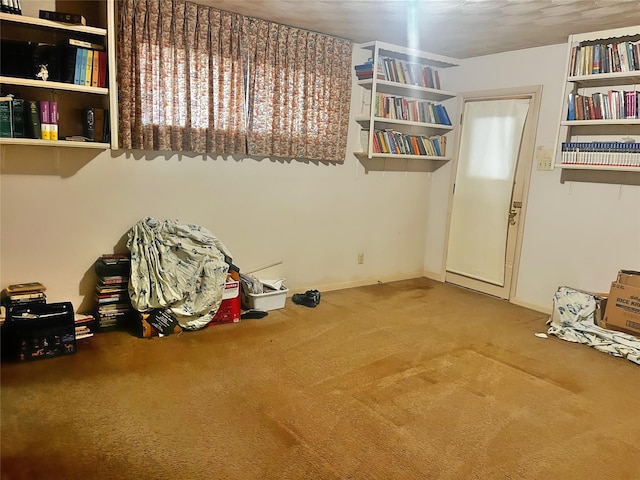 miscellaneous room featuring carpet flooring