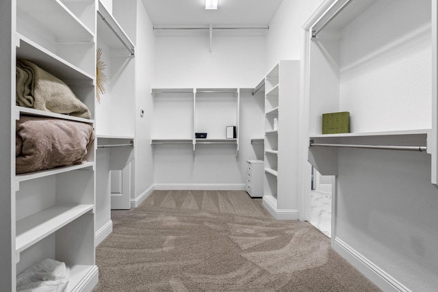 walk in closet with light carpet