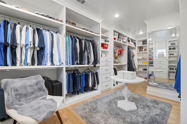 walk in closet featuring wood-type flooring