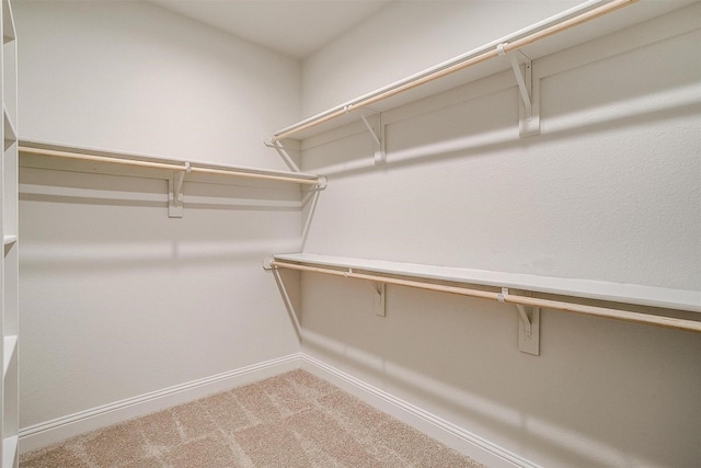 walk in closet with carpet