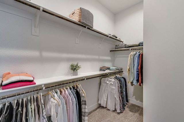 walk in closet with light colored carpet and radiator heating unit