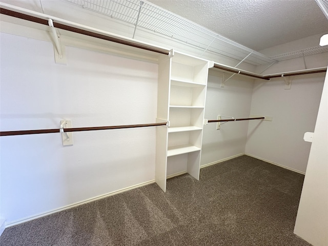 walk in closet with dark colored carpet