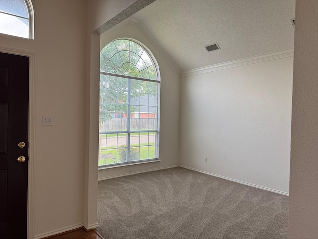2414 W Stillwater Dr, Mesquite, TX 75181 - foyer featuring lofted ceiling, plenty of natural light, carpet, crown molding, and a textured ceiling
