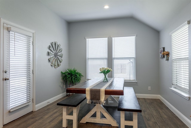 dining room featuring plenty of natural light, dark wood-type flooring, and lofted ceiling