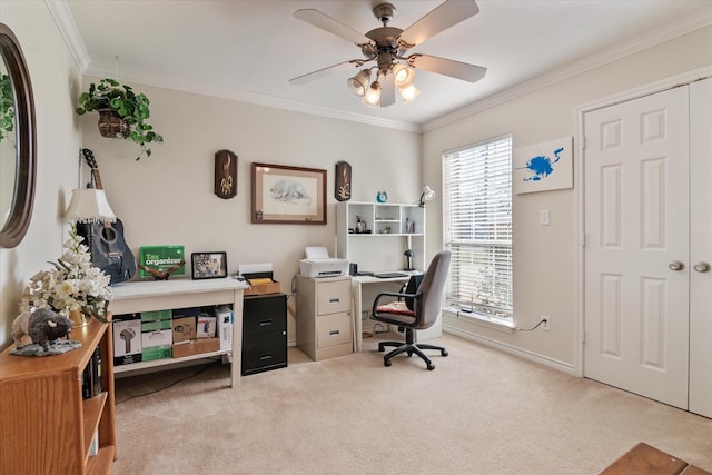 office featuring ornamental molding, ceiling fan, and carpet flooring