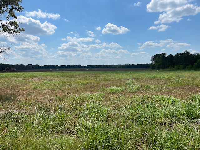 332 County Road 1290, Clarksville TX, 75426 land for sale