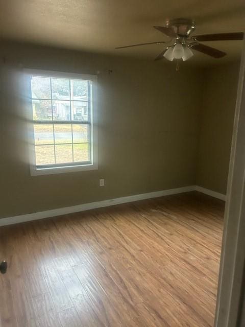 unfurnished room featuring light hardwood / wood-style floors and ceiling fan