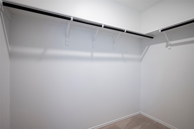 spacious closet with carpet flooring